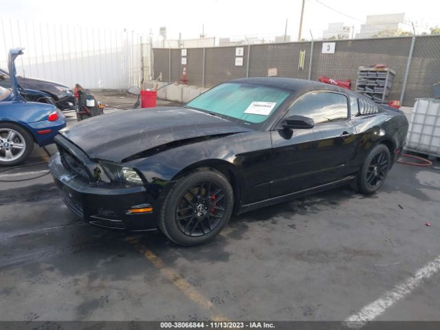 1ZVBP8AM9E5321630 Ford Mustang V6