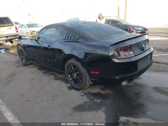 1ZVBP8AM9E5321630 Ford Mustang V6