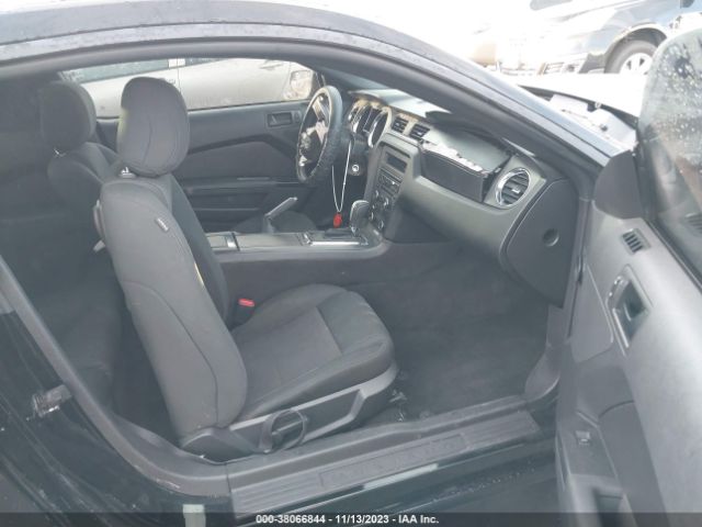 1ZVBP8AM9E5321630 Ford Mustang V6