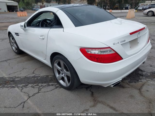 2015 MERCEDES-BENZ SLK 250 WDDPK4HA8FF102364 Photo 2