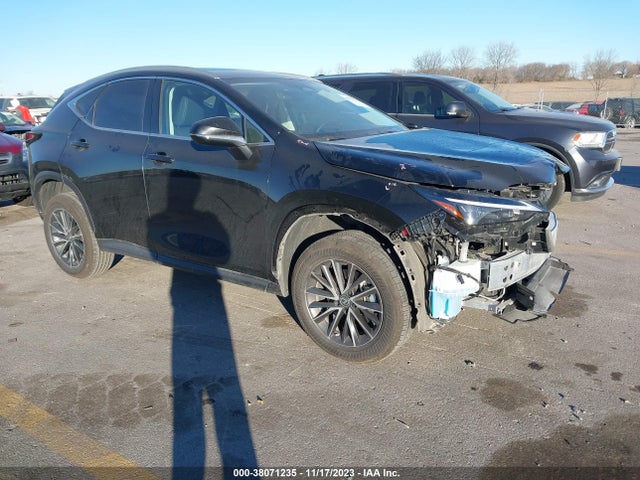 2022 LEXUS NX 250 VIN: 2T2ADCAZ7NC001856