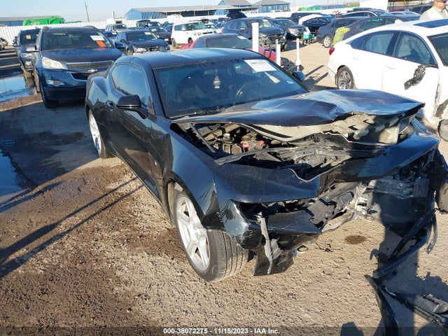 2019 1G1FB1RX5K0125209 main image