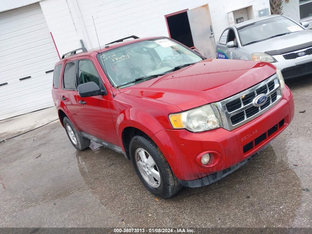 2011 FORD ESCAPE XLT VIN: 1FMCU0D75BKA12317