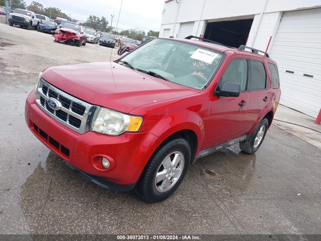 2011 FORD ESCAPE XLT VIN: 1FMCU0D75BKA12317