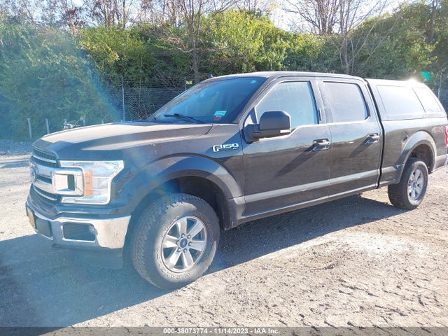 Ford F-150 Xlt 2019 1FTFW1E49KKD06454 Image 2
