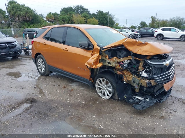 Chevrolet EQUINOX LS 2019 2GNAXHEV0K6244381 Image 1