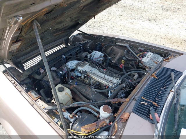 1985 JAGUAR XJS SAJNV5841FC119065 Photo 9