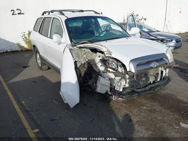 2005 HYUNDAI SANTA FE GLS VIN: KM8SC13D15U921322