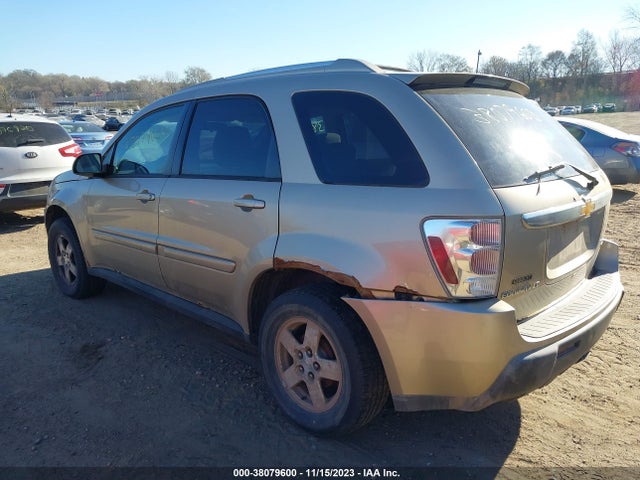 2006 CHEVROLET EQUINOX LT VIN: 2CNDL73FX66003131