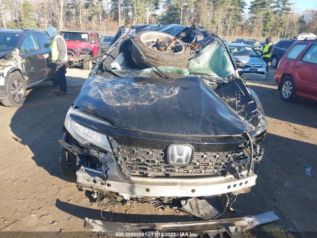 Honda Passport Elite 2019 5FNYF8H02KB008352 Image 12