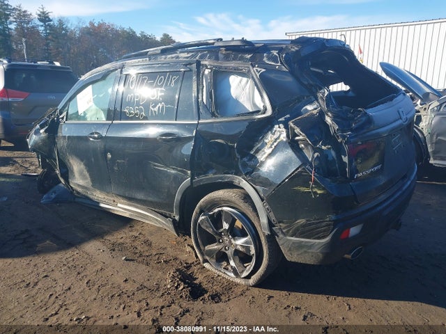 Honda Passport Elite 2019 5FNYF8H02KB008352 Image 3