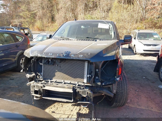 2020 FORD F-150 LIMITED VIN: 1FTEW1EG2LFB74041
