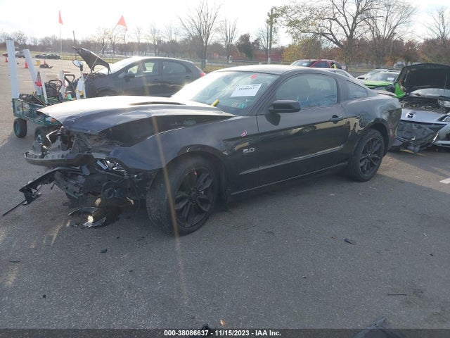 2013 FORD MUSTANG GT PREMIUM VIN: 1ZVBP8CF7D5220437