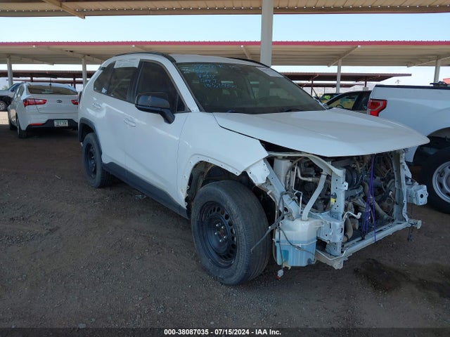 Toyota RAV4 LE 2019 2T3F1RFV6KW023005 main image