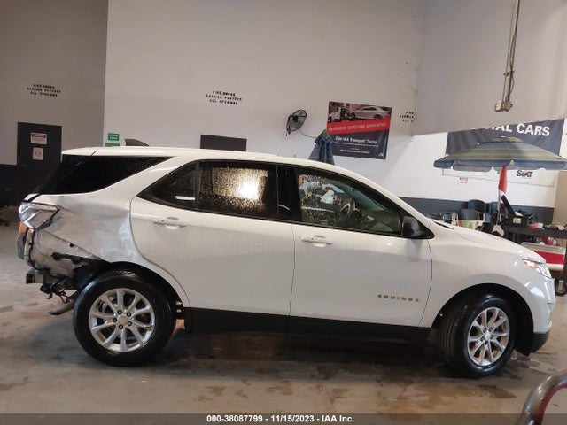 2019 CHEVROLET EQUINOX LS VIN: 3GNAXHEV4KS549691