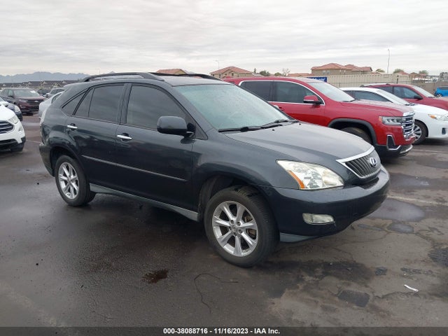 2009 LEXUS RX 350 VIN: 2T2GK31U19C080709