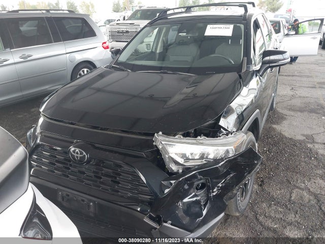 Toyota Rav4 Xle 2019 JTMW1RFV2KD503183 Image 12
