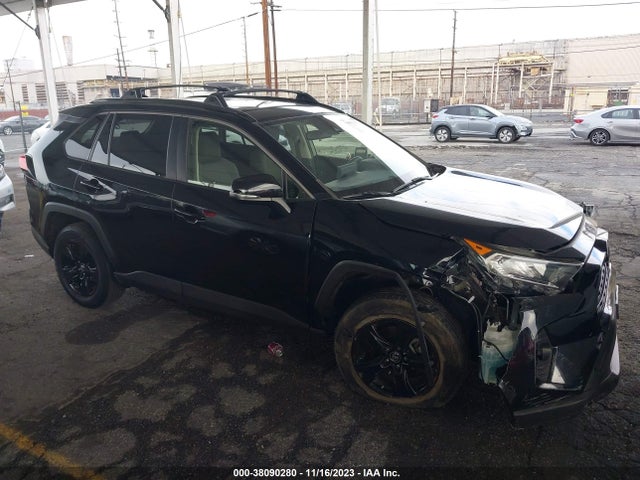 Toyota Rav4 Xle 2019 JTMW1RFV2KD503183 Image 13