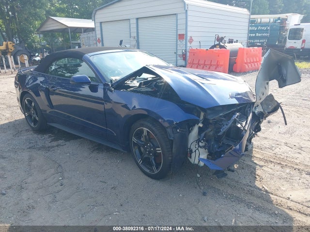 2019 1FATP8FF6K5105835 main image