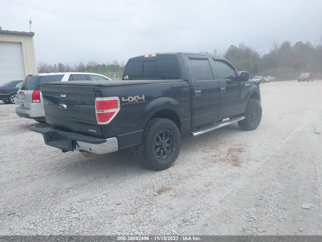 2013 FORD F-150 XLT VIN: 1FTFW1EF7DFD89525