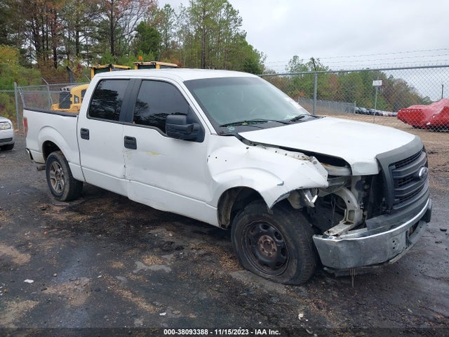 2013 FORD F-150 XL VIN: 1FTFW1CF0DKD51385