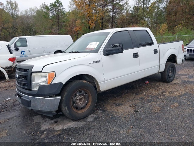 2013 FORD F-150 XL VIN: 1FTFW1CF0DKD51385