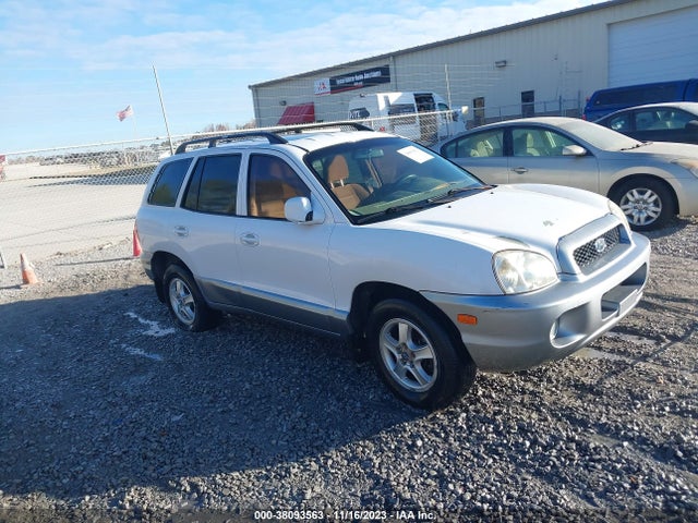 2004 HYUNDAI SANTA FE LX/GLS VIN: KM8SC13E64U818792