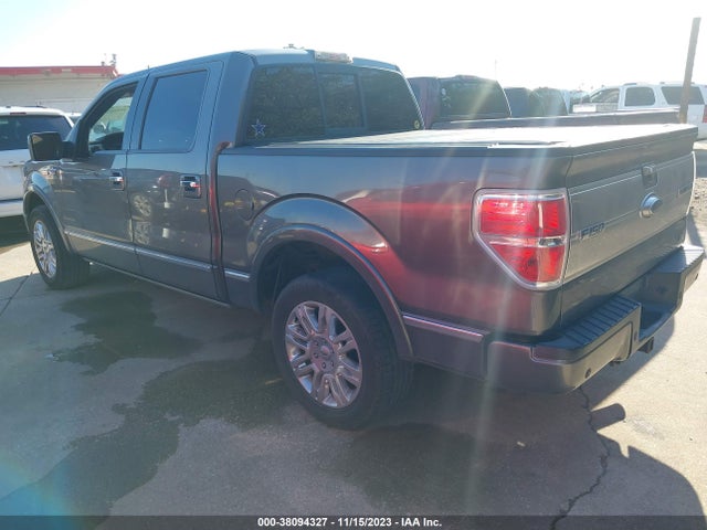 2010 FORD F-150 XL/XLT VIN: 1FTFW1CV6AFB48304
