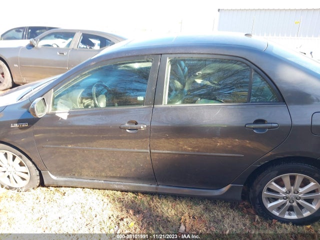 2010 TOYOTA COROLLA S VIN: 1NXBU4EE6AZ203800