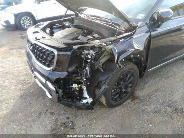 KIA Telluride Sx X-pro 2023 5XYP5DGC5PG365401 Image 6