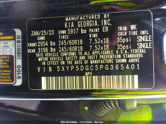 2023 KIA TELLURIDE SX X-PRO VIN: 5XYP5DGC5PG365401