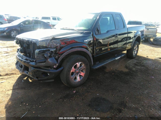 2013 FORD F-150 FX4 VIN: 1FTFX1EF7DKE09731