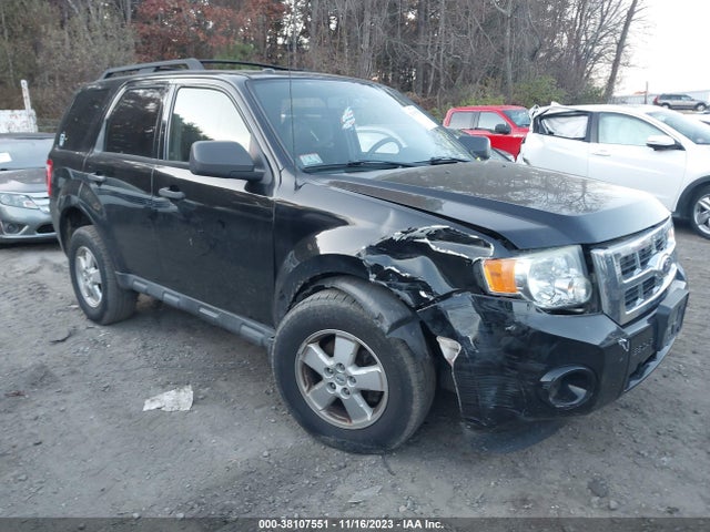 2010 FORD ESCAPE XLT VIN: 1FMCU9D78AKC25992