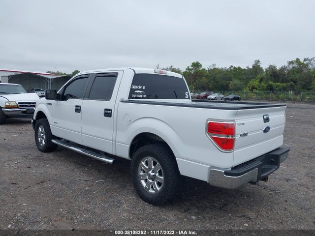 2013 FORD F-150 XLT VIN: 1FTFW1CT0DFD23410