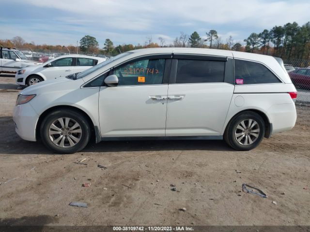 5FNRL5H3XGB037028 Honda ODYSSEY SE