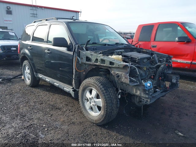 2011 FORD ESCAPE XLT VIN: 1FMCU0DG1BKB35452