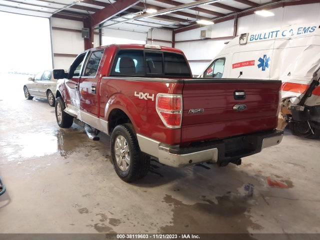 2013 FORD F-150 XLT VIN: 1FTFW1ET4DFA88975
