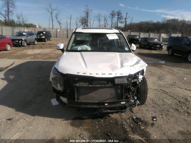 KIA Telluride S 2020 5XYP6DHC1LG011509 Image 12