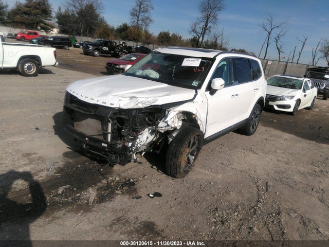 KIA Telluride S 2020 5XYP6DHC1LG011509 Image 2
