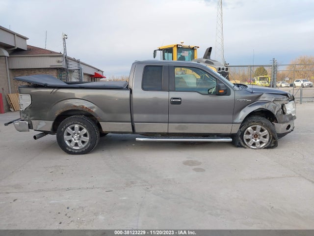 2013 FORD F-150 XLT VIN: 1FTFX1EF5DFA69553