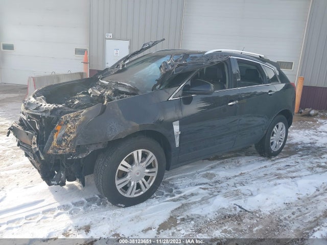 2012 CADILLAC SRX LUXURY COLLECTION VIN: 3GYFNDE3XCS568981