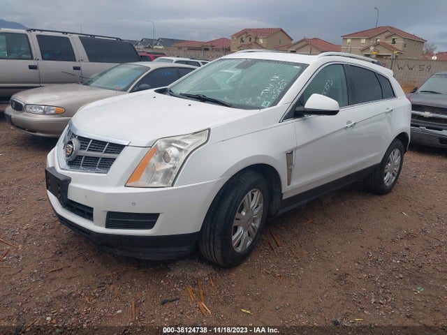 2010 CADILLAC SRX LUXURY COLLECTION VIN: 3GYFNAEY5AS632657
