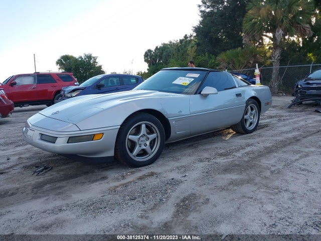 1996 CHEVROLET CORVETTE VIN: 1G1YY22P0T5102089