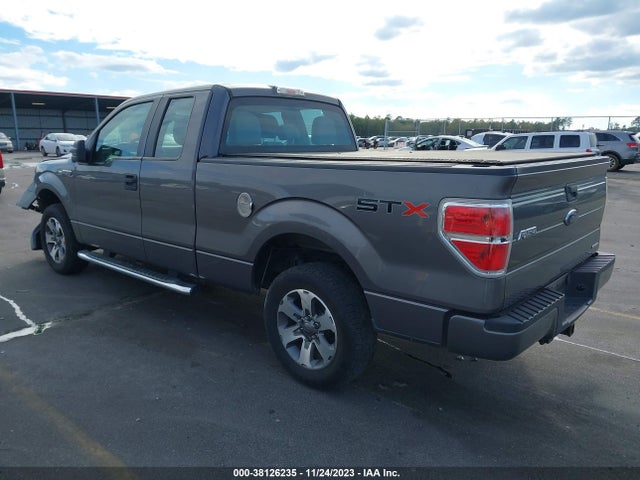 2013 FORD F-150 STX VIN: 1FTFX1CF7DKF02686