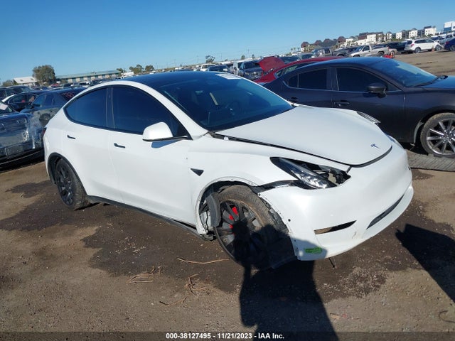 2021 TESLA MODEL Y 5YJYGDEE1MF296602 Photo 0
