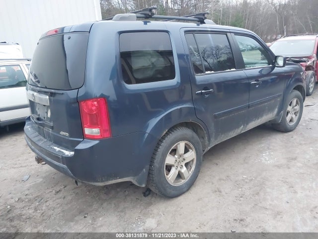 38131879 :رقم المزاد ، 5FNYF4H41BB098878 vin ، 2011 Honda Pilot Ex مزاد بيع