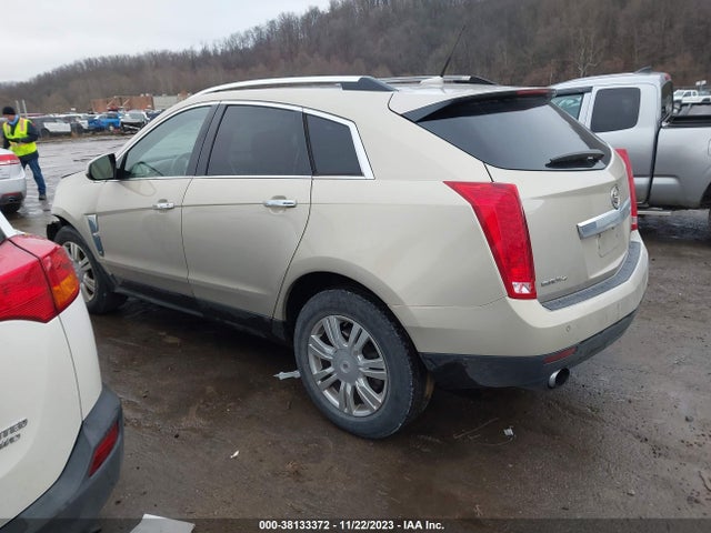 2010 CADILLAC SRX LUXURY COLLECTION VIN: 3GYFNDEY1AS644922