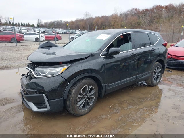 Honda Cr-v Awd Ex-l 2021 5J6RW2H84ML004627 Image 2
