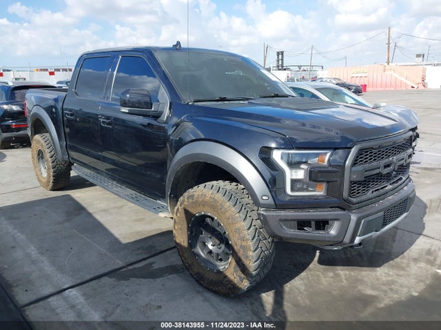 2019 FORD F-150 RAPTOR VIN: 1FTFW1RG8KFB81766
