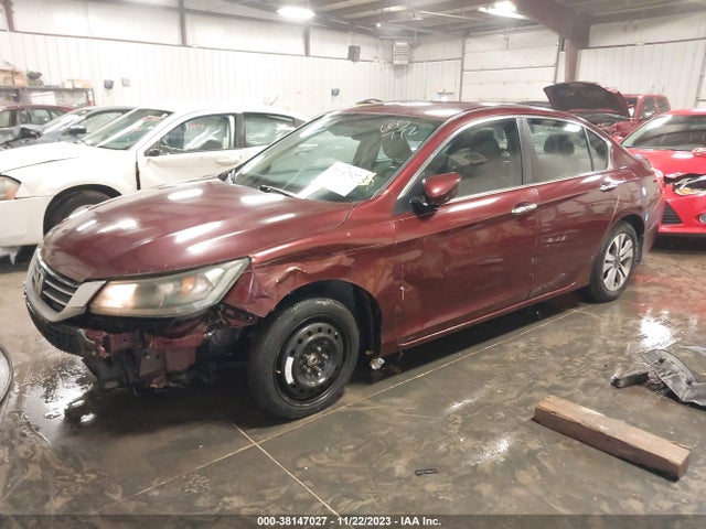 Honda ACCORD LX 2014 1HGCR2F39EA060569 Image 2